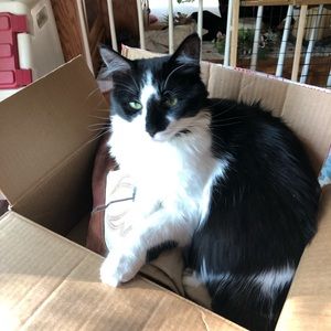 Meet your Posher, Dawn